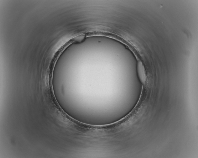 X0000115740877200911121535