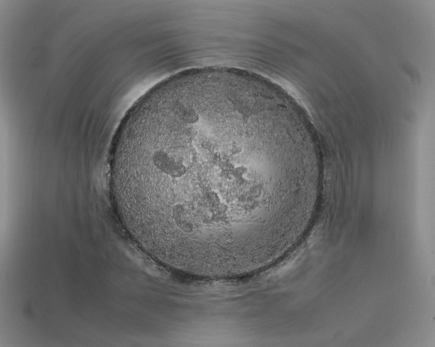 X0000115740879200911121535