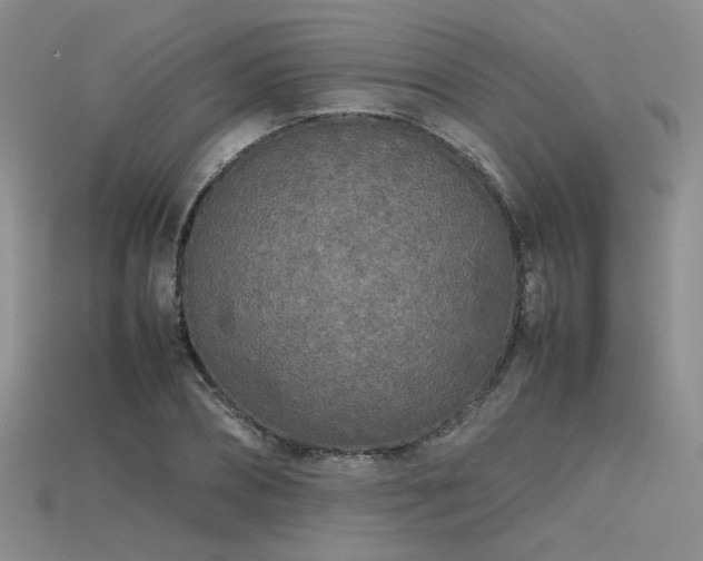 X0000115740882200911121535