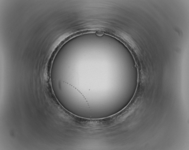X0000115740883200911121535