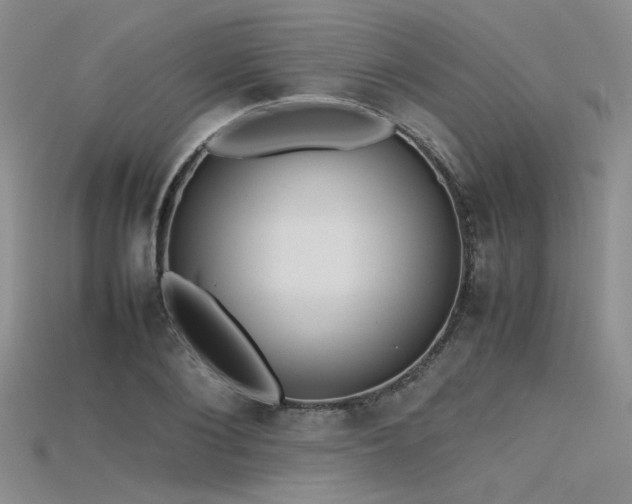 X0000115740884200911121535