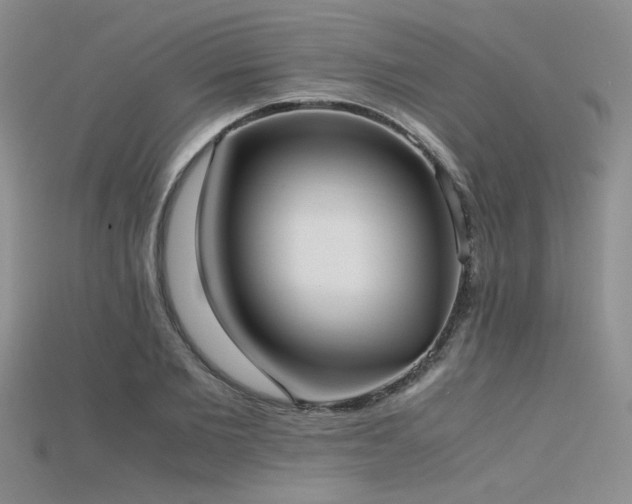 X0000115740885200911121535