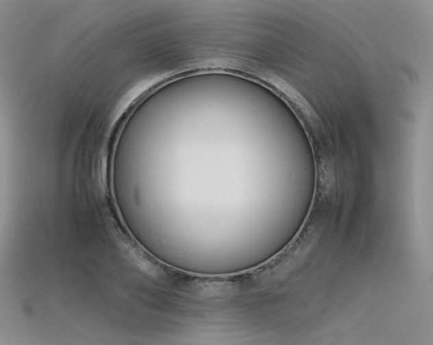 X0000115740886200911121535