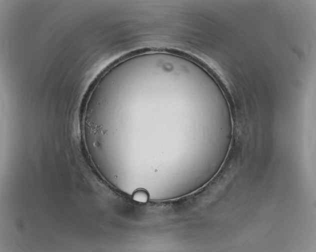 X0000115740887200911121535