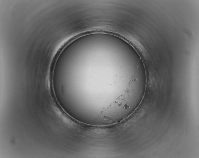 X0000115740888200911121535