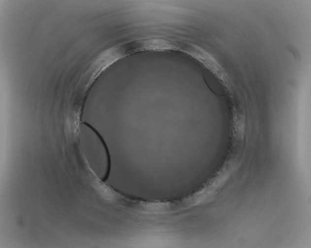 X0000115740889200911121535