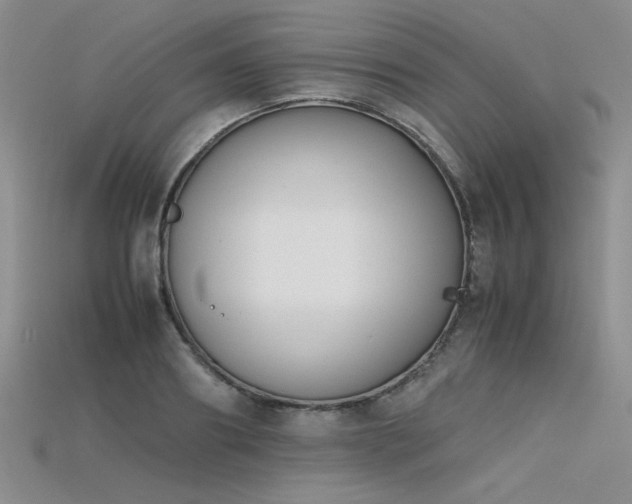X0000115740890200911121535