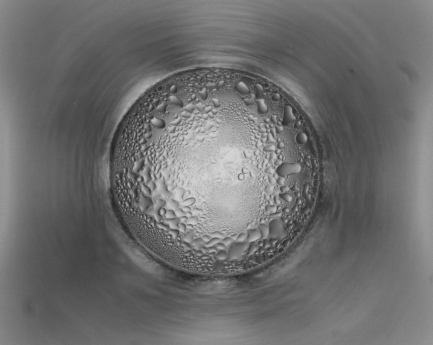 X0000115740891200911121535
