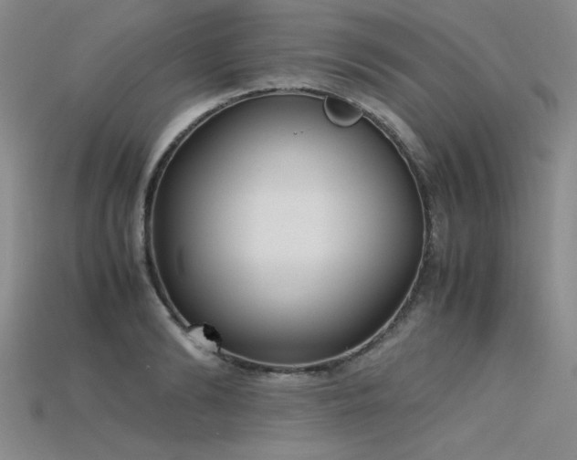 X0000115740894200911121535