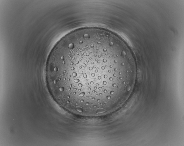 X0000115740895200911121535
