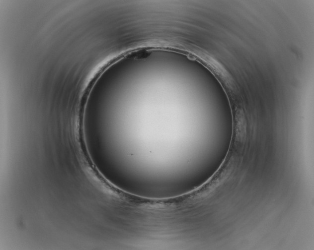 X0000115740896200911121535