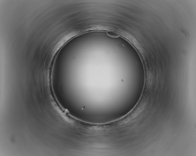 X0000115740898200911121535