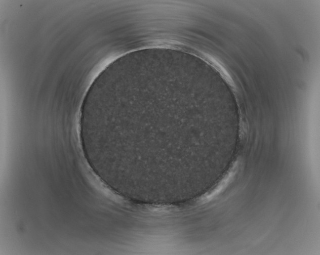 X0000115740899200911121535
