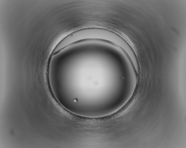 X0000115740901200911121535