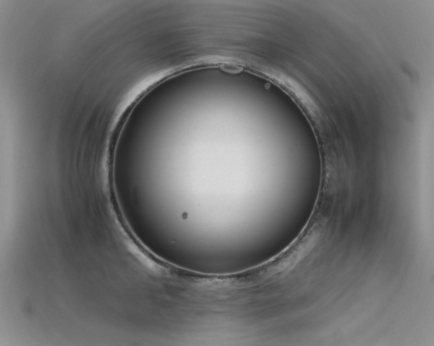 X0000115740902200911121535