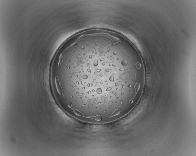 X0000115740903200911121535