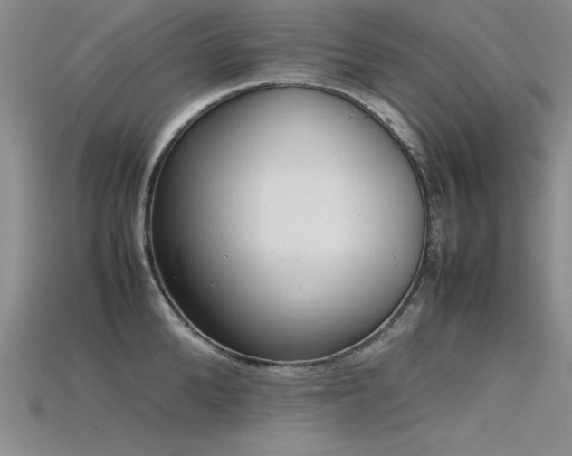 X0000115740904200911121535