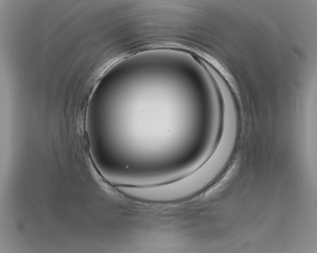 X0000115740905200911121535