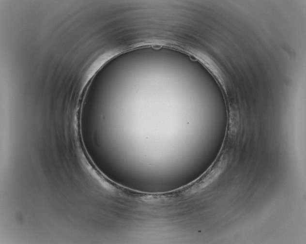 X0000115740906200911121535