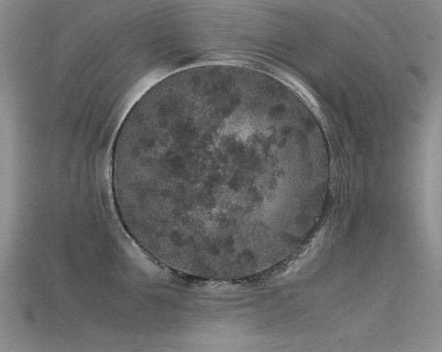 X0000115740907200911121535