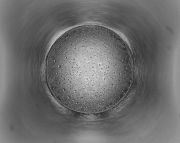 X0000115740911200911121535