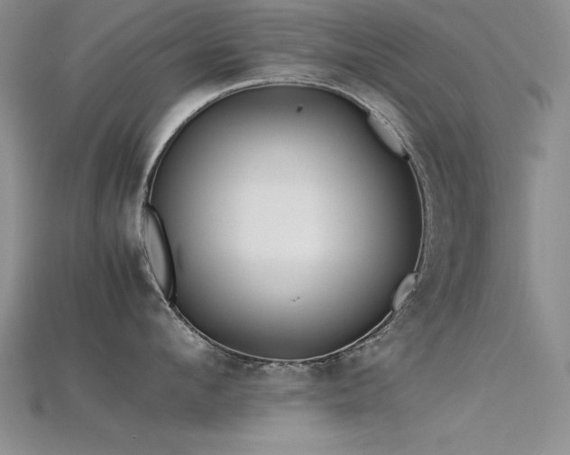 X0000115740912200911121535