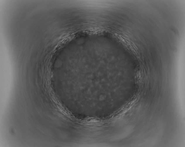 X0000115740913200911121534