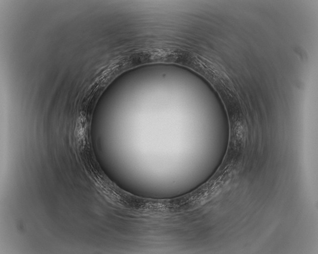 X0000115740914200911121534