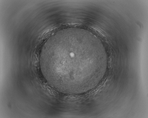 X0000115740917200911121534