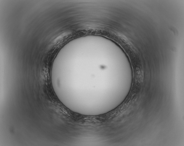 X0000115740918200911121534