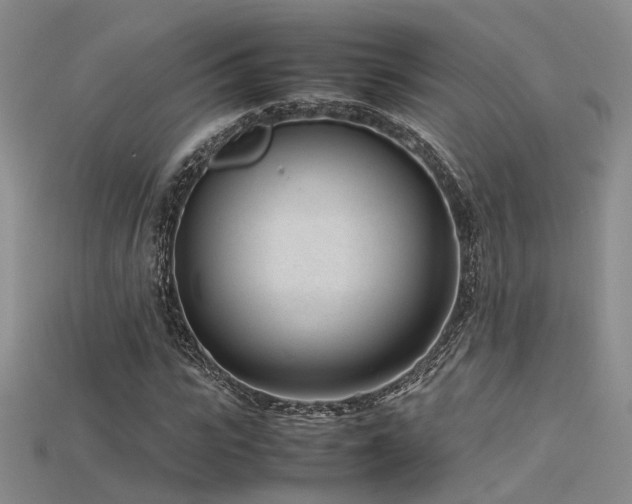 X0000115740919200911121534