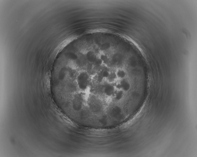 X0000115740921200911121534