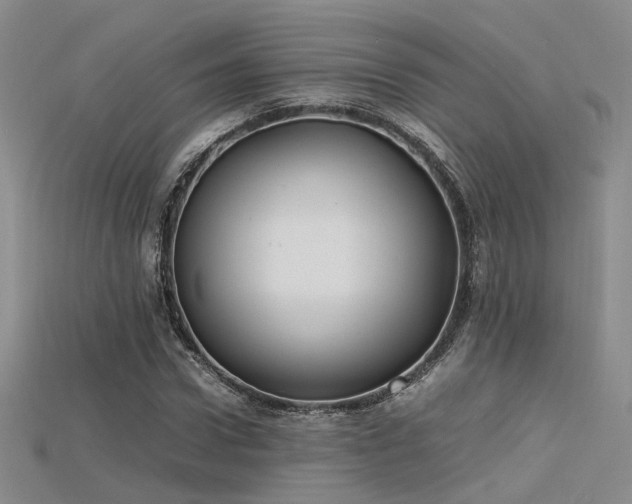 X0000115740922200911121534