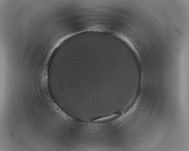 X0000115740923200911121534