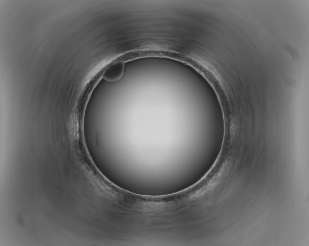 X0000115740925200911121534