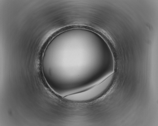 X0000115740926200911121534