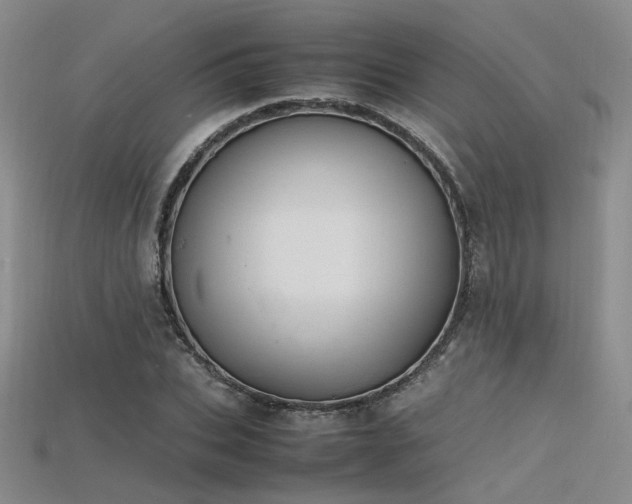 X0000115740927200911121534