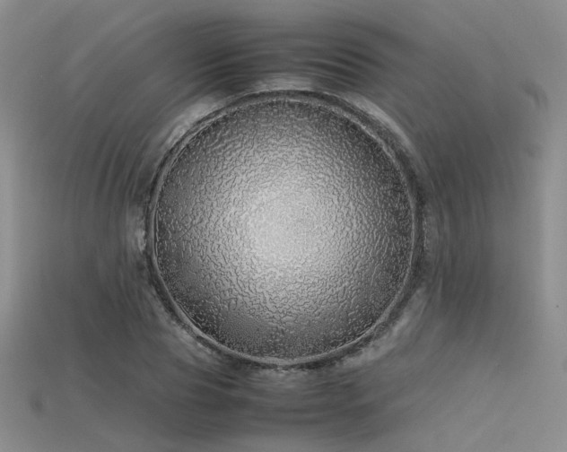 X0000115740929200911121534
