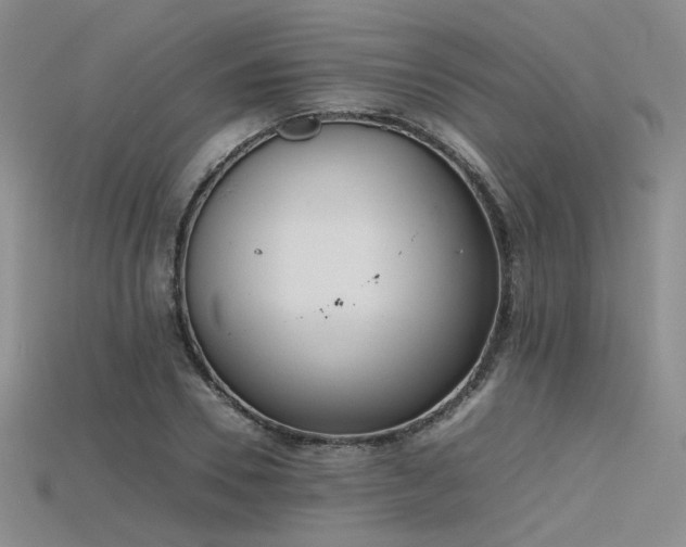 X0000115740930200911121534