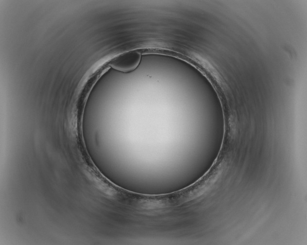 X0000115740931200911121534