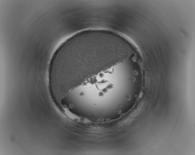 X0000115740935200911121534