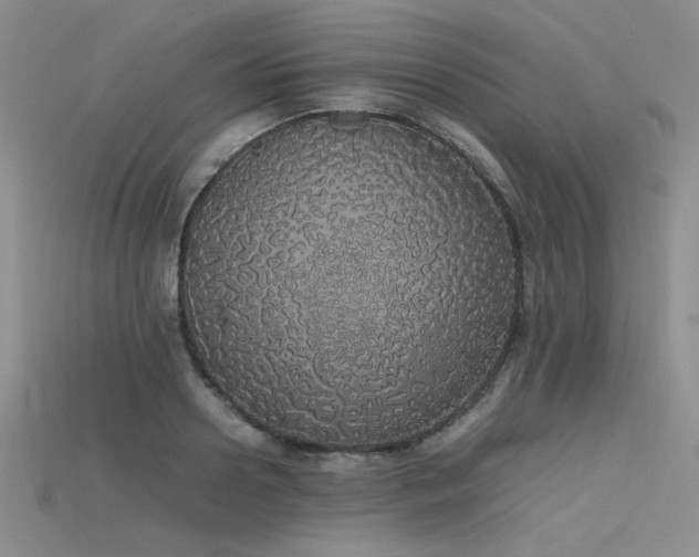 X0000115740938200911121534