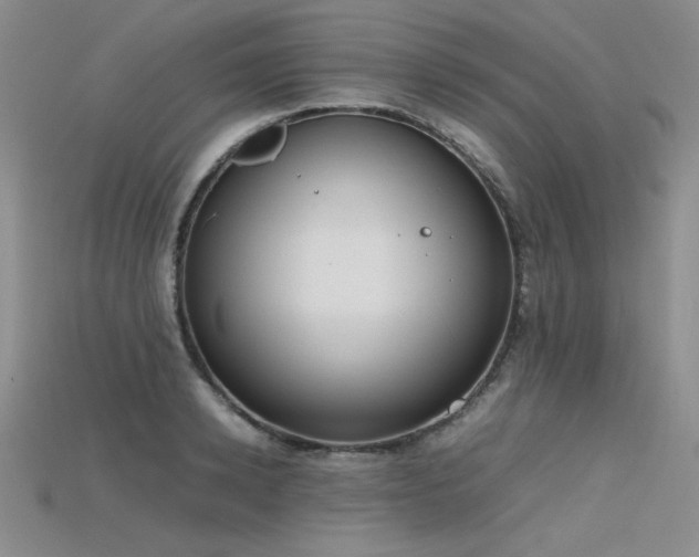 X0000115740942200911121534