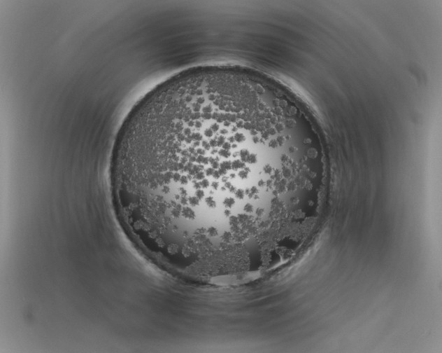 X0000115740943200911121534
