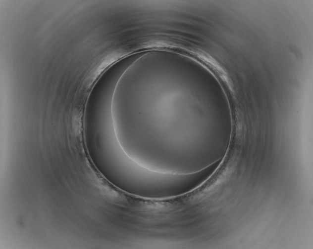 X0000115740945200911121534