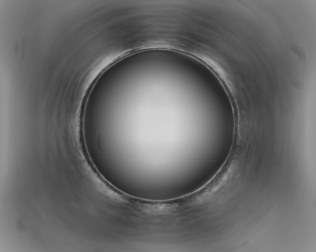 X0000115740949200911121534