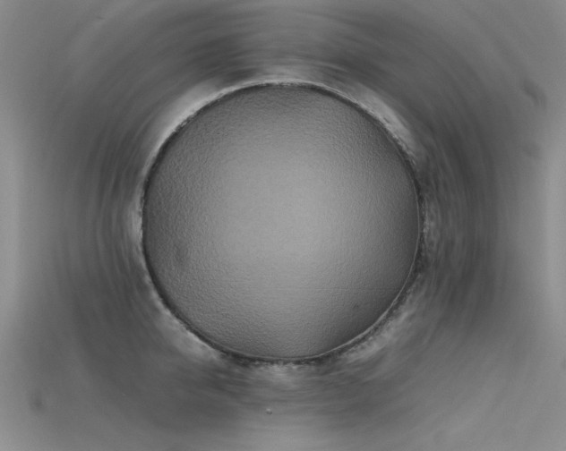 X0000115740950200911121534
