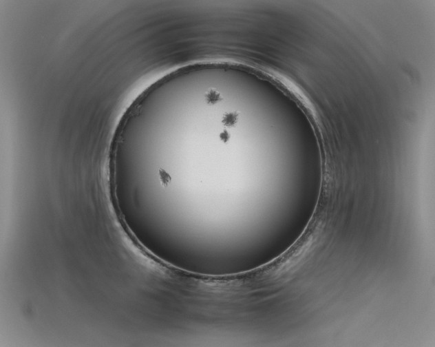 X0000115740951200911121534