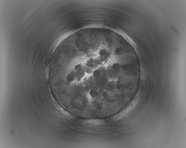 X0000115740953200911121534