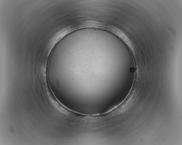 X0000115740954200911121534